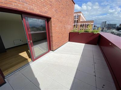 Picture 15